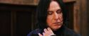 PF-Potterish_03769.jpg