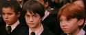 PF-Potterish_03770.jpg