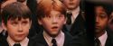 PF-Potterish_03780.jpg