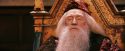 PF-Potterish_03824.jpg