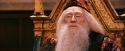 PF-Potterish_03827.jpg