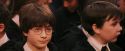 PF-Potterish_03830.jpg