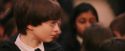 PF-Potterish_03832.jpg
