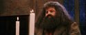 PF-Potterish_03840.jpg