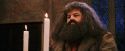 PF-Potterish_03841.jpg