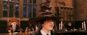 PF-Potterish_03906.jpg