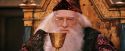 PF-Potterish_03935.jpg