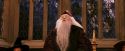 PF-Potterish_03955.jpg