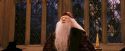 PF-Potterish_03956.jpg