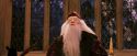 PF-Potterish_03957.jpg