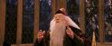PF-Potterish_03958.jpg