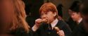 PF-Potterish_03979.jpg
