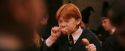 PF-Potterish_03980.jpg