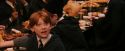 PF-Potterish_04077.jpg