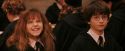 PF-Potterish_04083.jpg