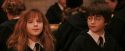 PF-Potterish_04086.jpg