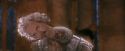 PF-Potterish_04098.jpg