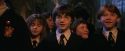 PF-Potterish_04201.jpg