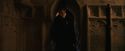 PF-Potterish_04210.jpg