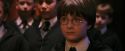 PF-Potterish_04238.jpg
