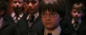 PF-Potterish_04240.jpg