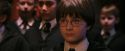 PF-Potterish_04241.jpg