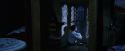 PF-Potterish_04272.jpg
