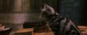 PF-Potterish_04315.jpg