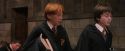 PF-Potterish_04344.jpg