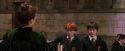 PF-Potterish_04350.jpg