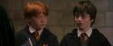 PF-Potterish_04369.jpg