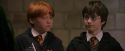 PF-Potterish_04370.jpg