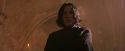 PF-Potterish_04452.jpg
