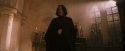 PF-Potterish_04480.jpg