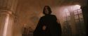 PF-Potterish_04481.jpg