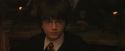 PF-Potterish_04484.jpg