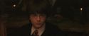 PF-Potterish_04485.jpg