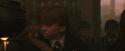 PF-Potterish_04492.jpg