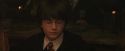 PF-Potterish_04494.jpg