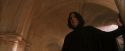 PF-Potterish_04497.jpg