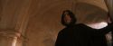 PF-Potterish_04514.jpg