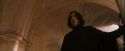 PF-Potterish_04516.jpg