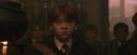 PF-Potterish_04526.jpg