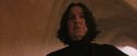 PF-Potterish_04536.jpg