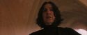 PF-Potterish_04537.jpg