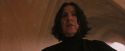 PF-Potterish_04540.jpg