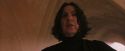 PF-Potterish_04541.jpg