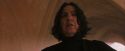 PF-Potterish_04542.jpg