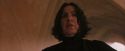 PF-Potterish_04543.jpg