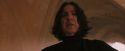 PF-Potterish_04546.jpg